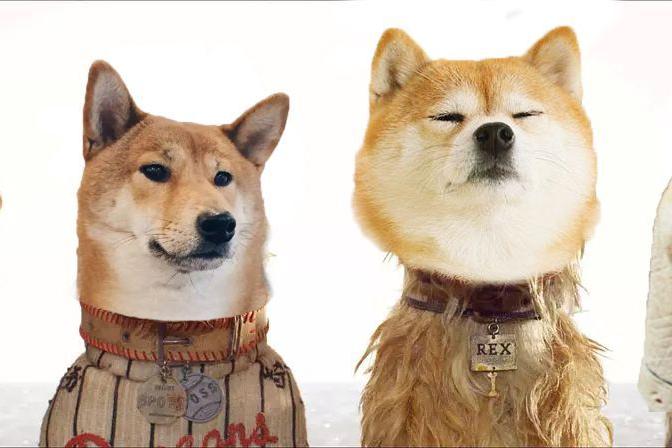 少了抖音网红的《犬之岛》,摆拍配音一样5星