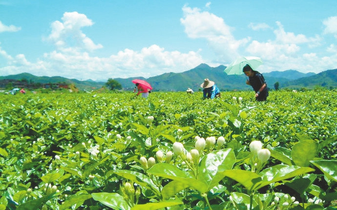 广西实力最强的2大县,GDP总值最高达304亿元