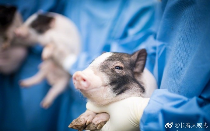 厉害了!我国科学家又一科研成果领先世界