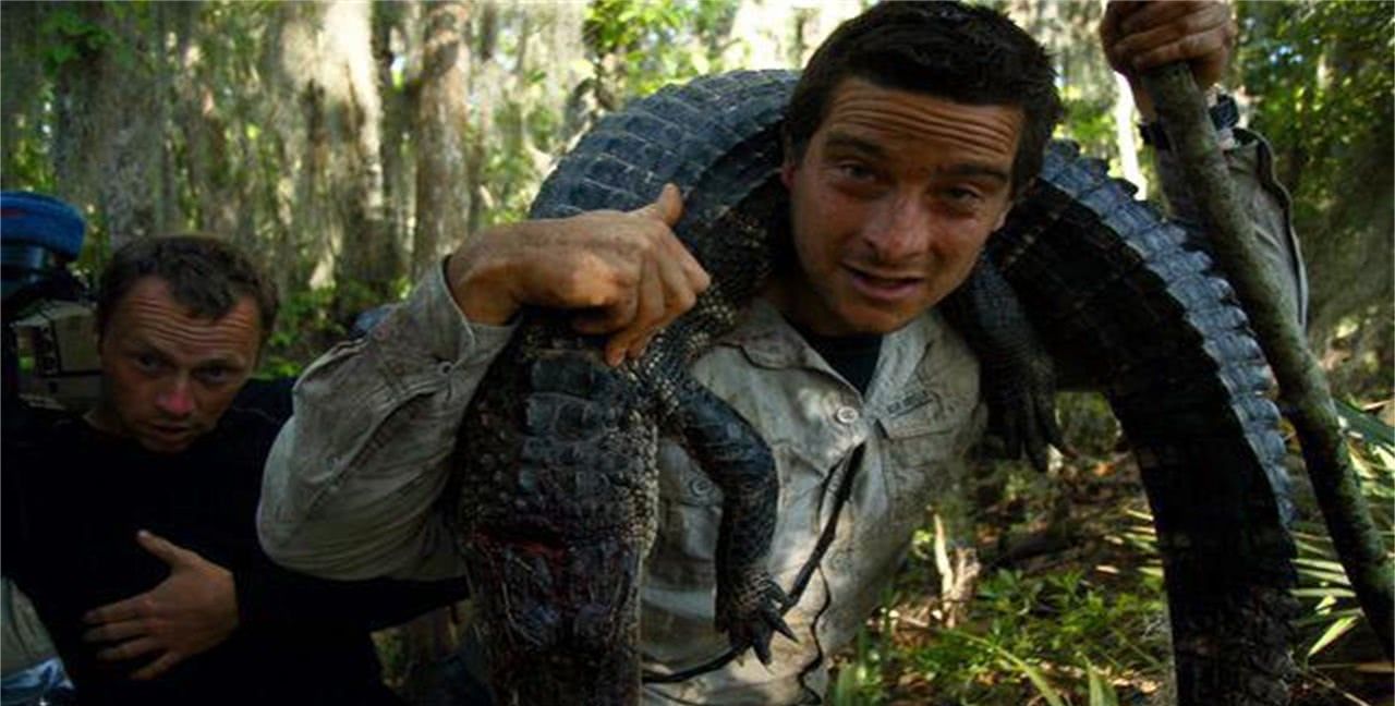 为什么贝爷吃了生肉、虫子、脏东西,都没有得病,反而很健康