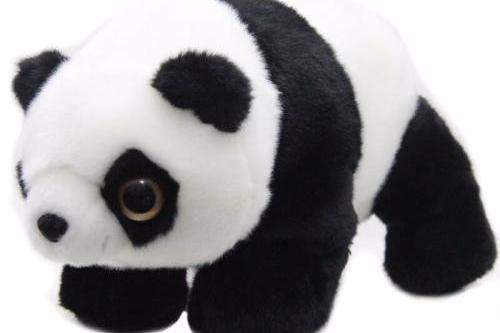 黄子韬的黑眼圈怎么破?那是他不认识我!