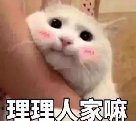 渣男表情:具有超多心爱特性猫咪?!搞笑的好看图片下载图片