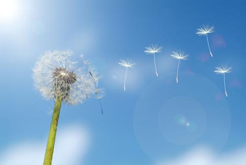 唯美情感句子:像我这样的人…!