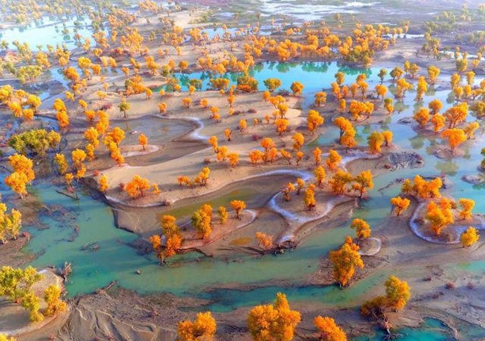 无人机航拍新疆塔里木河,景色太惊艳了 特别声明:以上文章内容仅代表