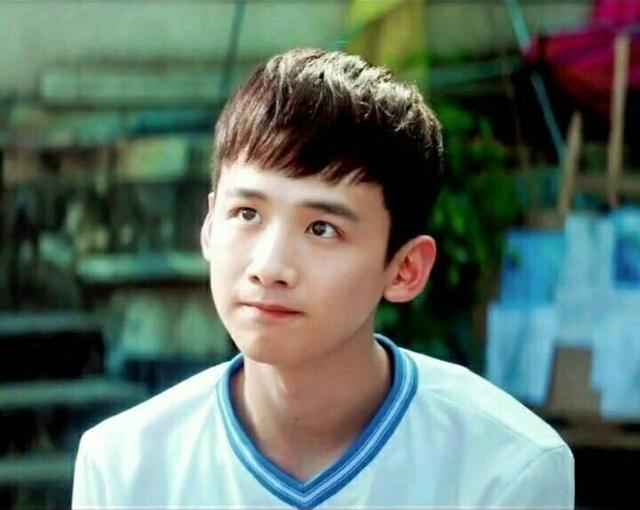 五官平凡整体惊艳的男星,刘昊然小白充满少年