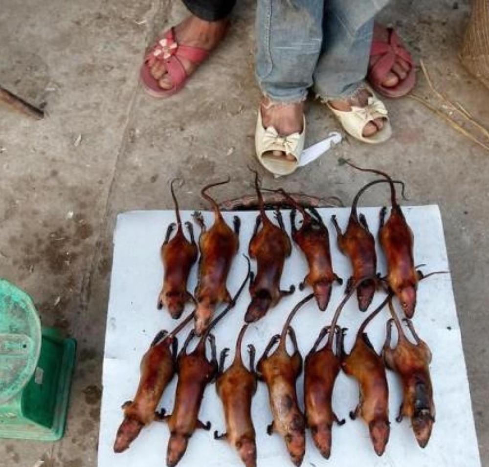 越南的奇葩美食, 当地人喜欢的烤老鼠, 你敢不敢尝一口?