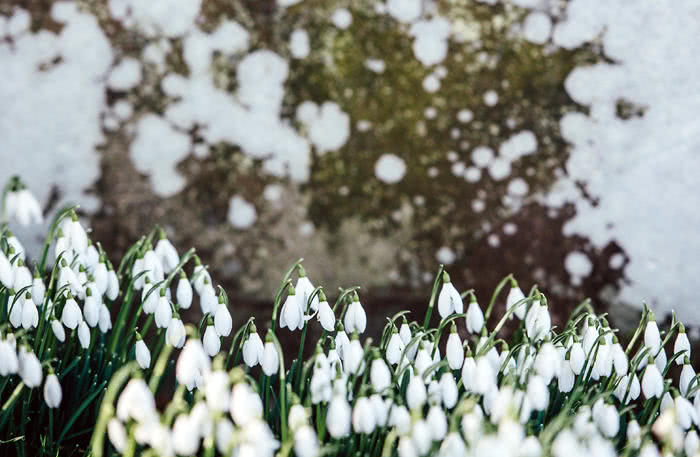 职场遇到与上级意见不一致怎么办?试试这三招