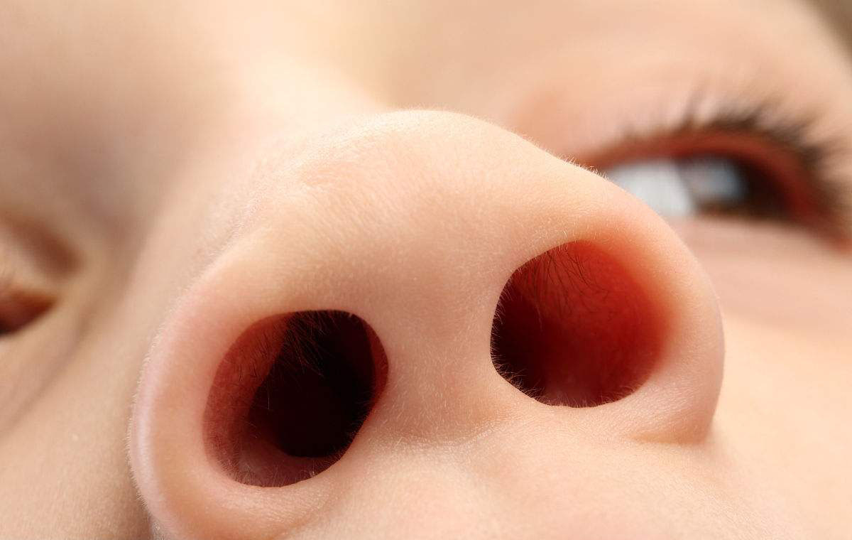 在世界上,为什么只有30%的人可以自由放大缩小自己的鼻孔?