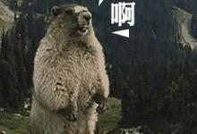 热点 | 冰岛一夜爆红世界杯!简直要笑出腹肌…