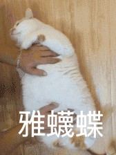 表情包丨喵星人楼楼系列表情包 点赞自取