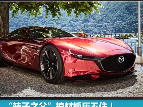 “转子风暴”未来转子发动机将引领新能源？