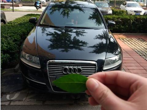 5万买辆35万公里的奥迪A6, 捡漏还是入坑? 打开车门朋友愣了