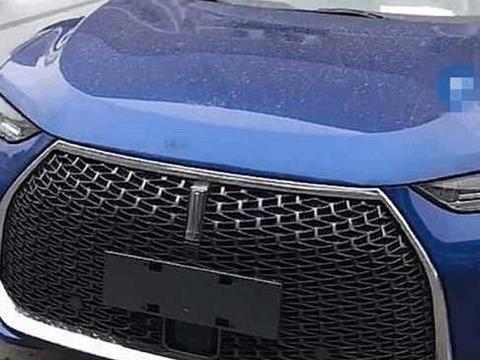 洗白油耗高的坏名声，长城推出了一款混动车型WEY P8