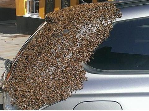 想知道“三菱“最近有什么新消息么，都在这里了