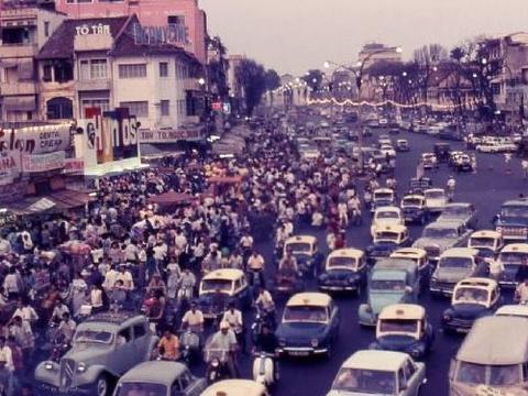 满世界都是银杏树,怎么就成濒危物种了?...