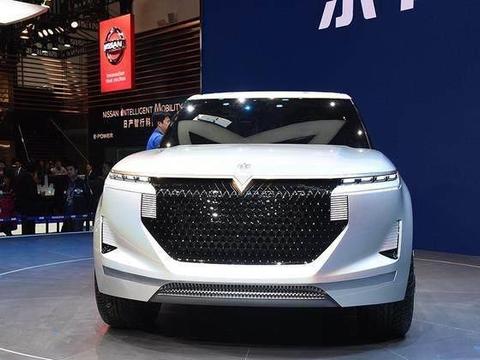 全新SUV比路虎揽胜更有气势，启辰终于爆发！下一个比亚迪无疑了