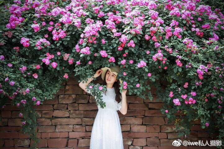 心若向阳花自盛开