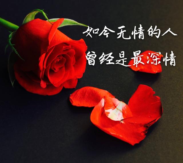 傻等多少回,才知自己只是多余,如今无情的人,曾经最是深情