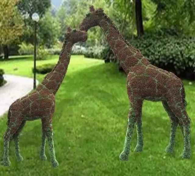 美极了!广西五彩田园“三角梅花海节”真的太美了!!