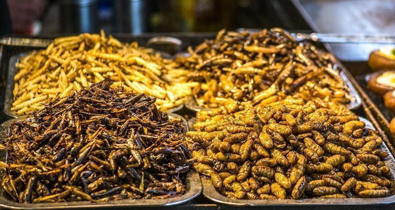 丽江人偏爱吃虫, 竹虫子、水蜻蜓无一不成桌上