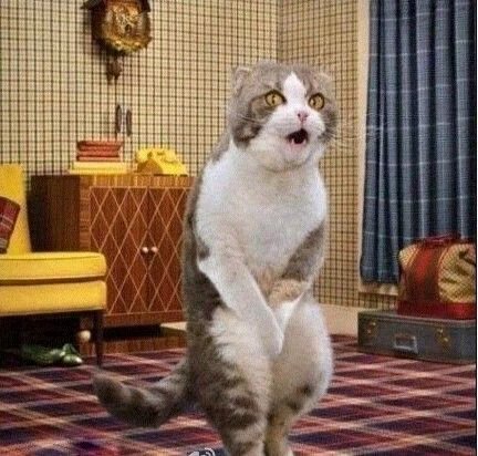 搞笑段子冷笑话:一张图告诉你女生自拍照与现