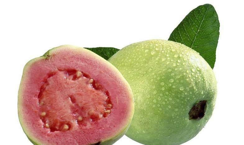 这些水果名字好听,非常经典的文章,不看后悔