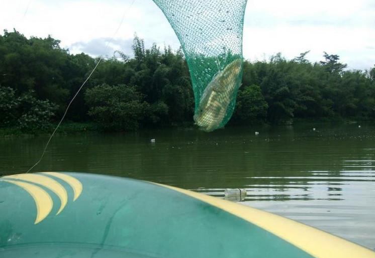 爸爸的捕鱼方法, 用矿泉水瓶布阵抓甲鱼