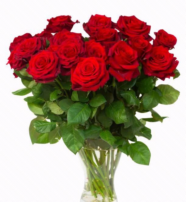 测试:4束玫瑰花,你爱好哪一束?测你的他爱你吗?