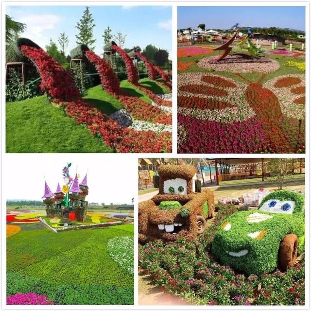 美极了!广西五彩田园“三角梅花海节”真的太美了!!