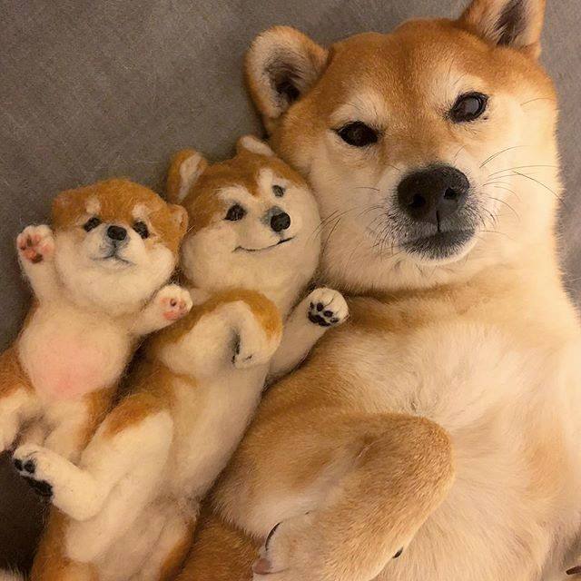 女朋友太爱哭怎么办 爱哭的女朋友如何安慰