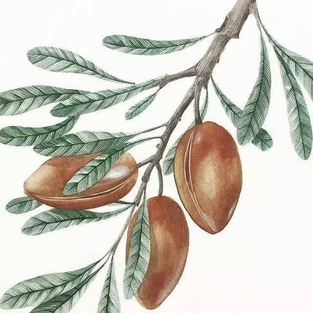 情感短语:辛夷坞经典语录,句句写进心坎里