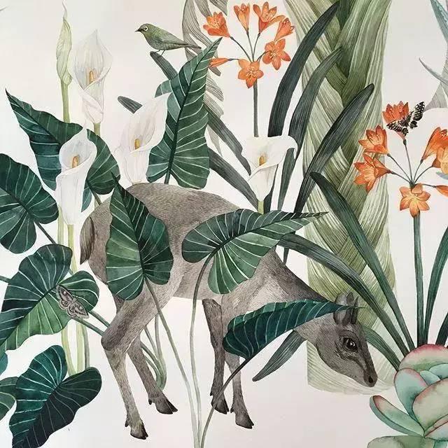 情感短语:辛夷坞经典语录,句句写进心坎里