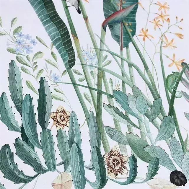 情感短语:辛夷坞经典语录,句句写进心坎里