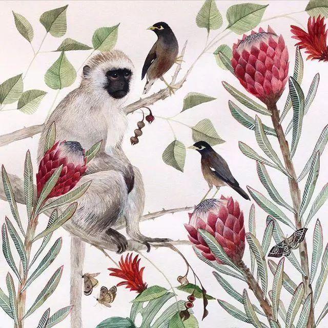 情感短语:辛夷坞经典语录,句句写进心坎里