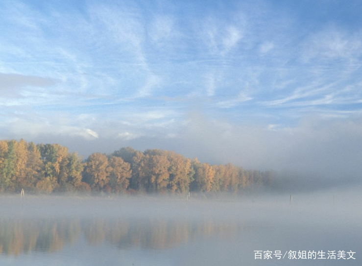 脑筋急转弯:龙的儿子与狗的儿子有什么差别?看