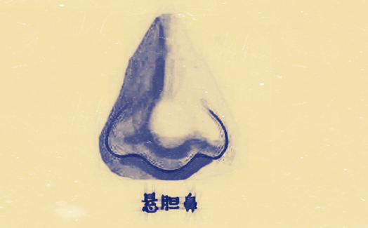悬胆鼻