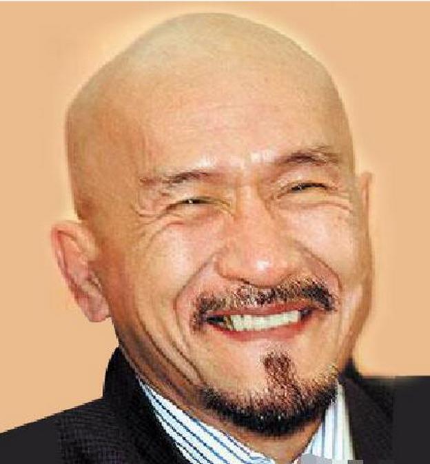 麦嘉个人资料 新浪网