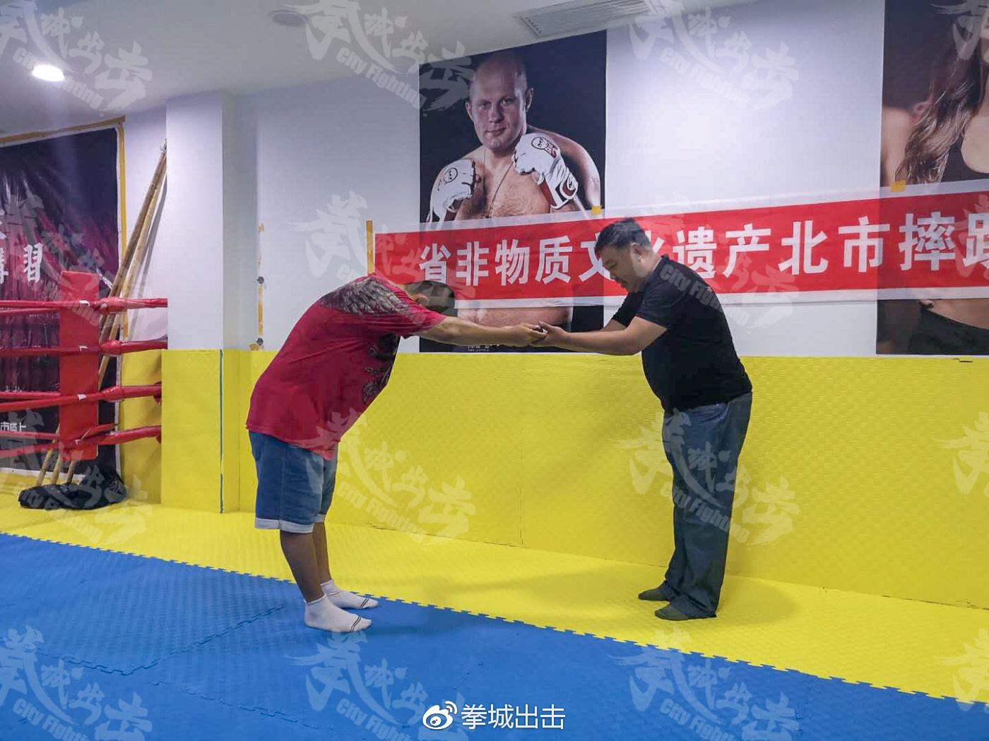 徐晓冬拜馆第九弹,戳脚翻子拳、通背拳等加入