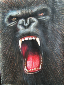 么导致肾虚、阳气不足,肾虚阳气不足的症状有