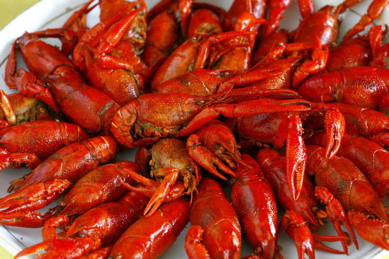 小龙虾头部黄色的物质到底是什么?网友:可能是