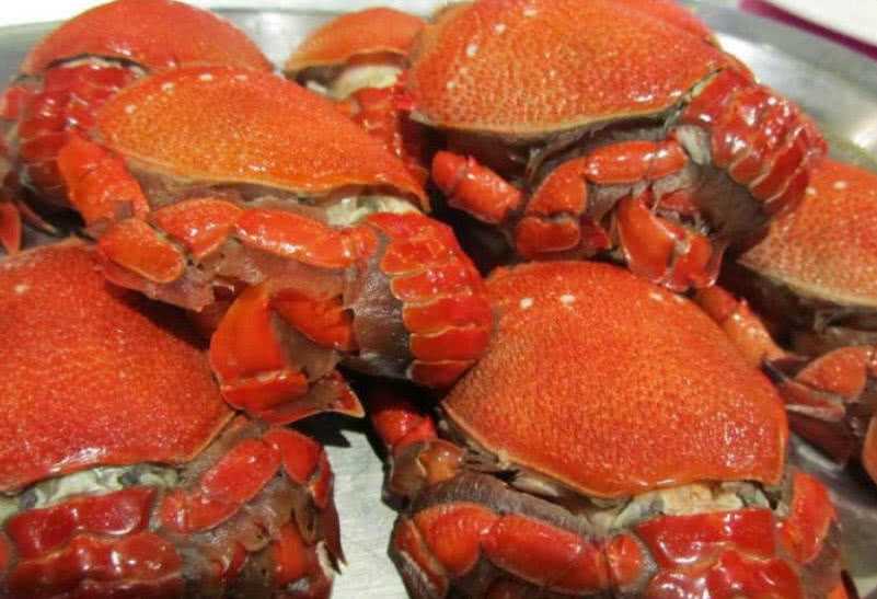 鲍鱼品牌排行_胡润中国食品行业百强榜出炉,晨曦鲍鱼饭旗下百珍堂预制菜上榜