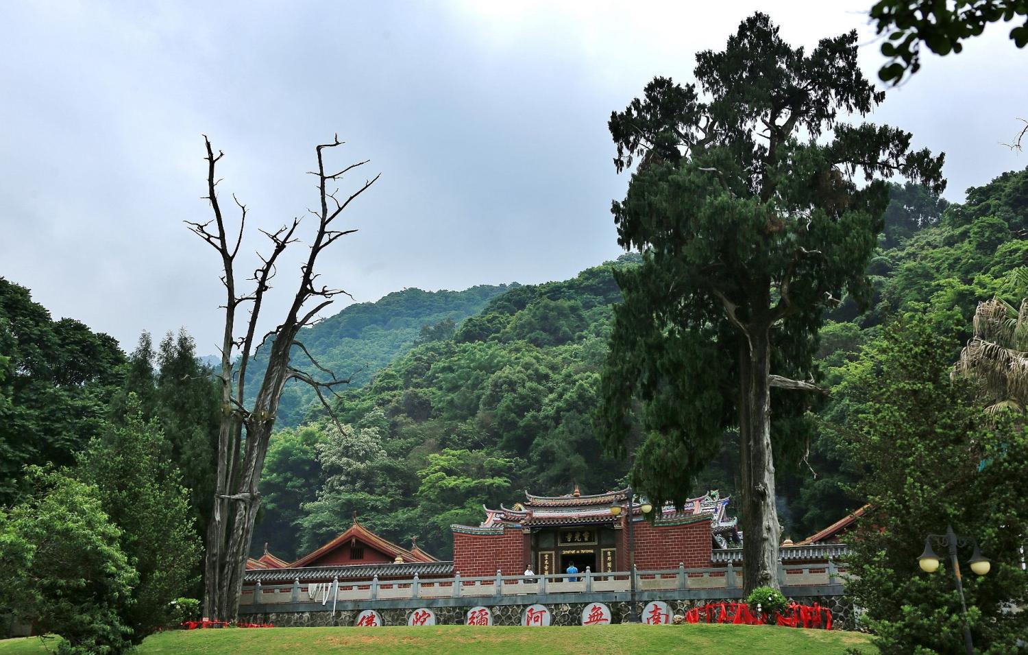 梅州客家队主场逆转取胜晋级足协杯八强展现顽强斗志