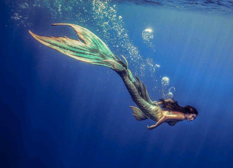 南海鲛人真实存在,并在中国留下后裔(客死山东)