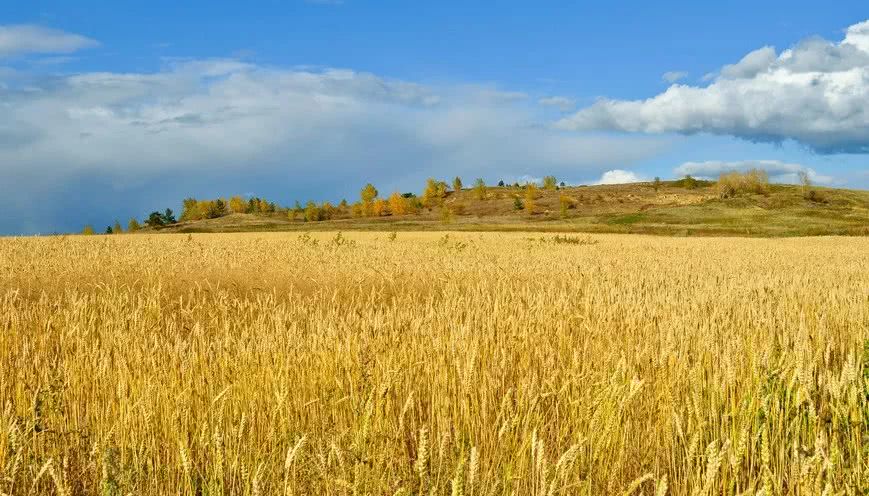 家在农村的石家庄人注意!这5种房屋不能翻建,