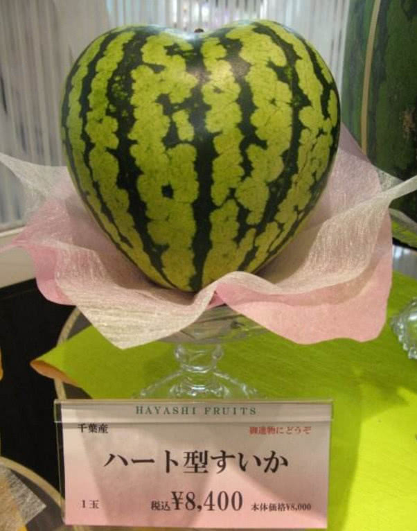 为什么日本人看中国人吃西瓜会馋到流口水,苍