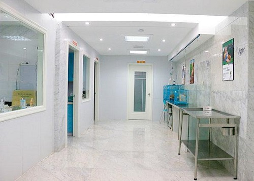 猫突然吃猫砂怎么办,猫吃了猫砂怎么办