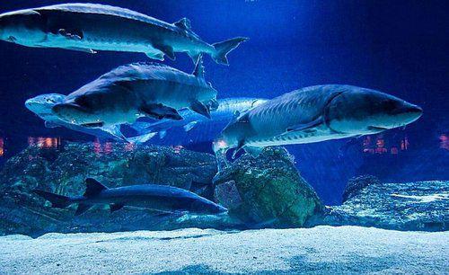 儿童节推荐:北京10大最适合带孩子去玩的地方