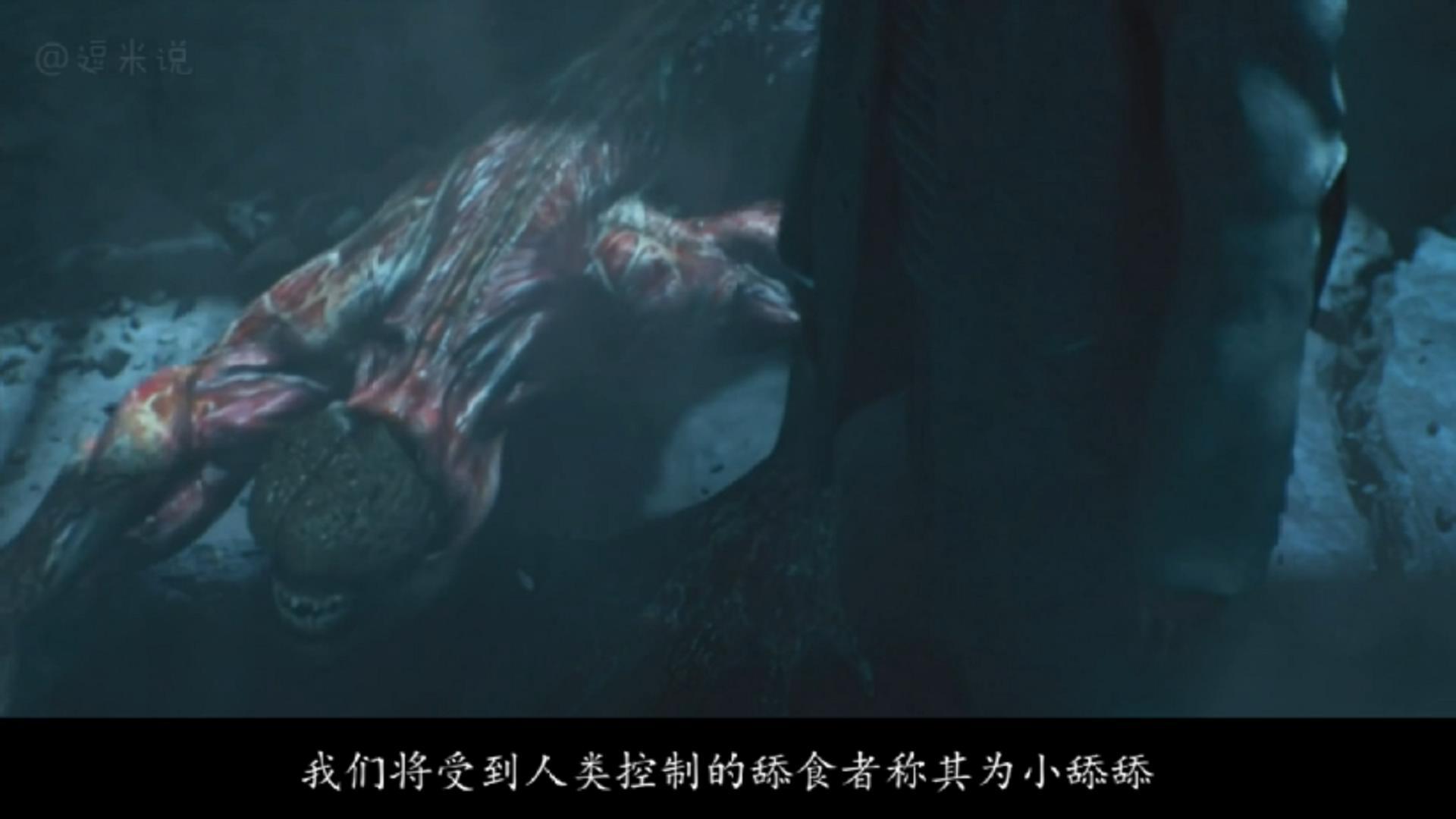 生化危机诅咒下载 - 网络世界的新威胁(b生化危机死亡岛在线观看)