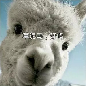 2018年江西省考近20万人报名!如何才不能成为