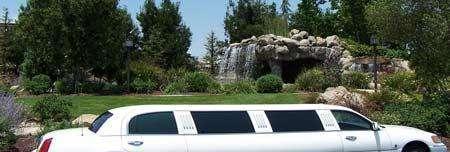 车长5米, 品牌比奥迪还响, 售价28万却无人问津